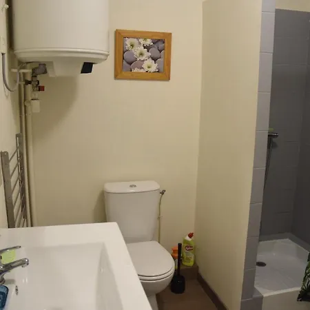 Appart-alma 3* Saint-Laurent-sur-Sèvre