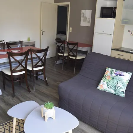 Appart-alma 3* Saint-Laurent-sur-Sèvre