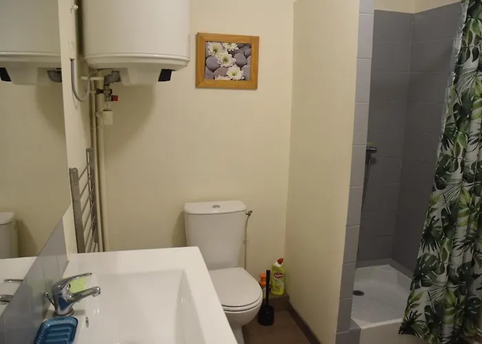 Appart-alma 3* Saint-Laurent-sur-Sèvre