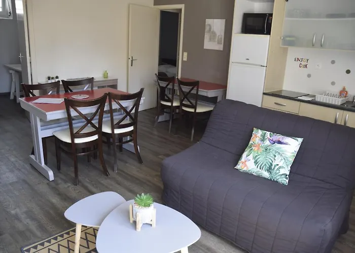 Appart-alma 3* Saint-Laurent-sur-Sèvre